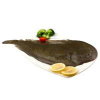 新西兰龙脷鱼（野生盾吻鲽）0.8斤-1斤（400克-500克）/条