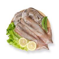 新西兰箭鱿鱼1-1.2斤（500克-600克）/袋