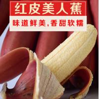 红皮香蕉美人蕉5斤