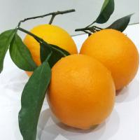 江西赣州脐橙 新鲜水果纽荷尔脐橙 农家橙子批发 5斤装